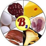 B2 B2 vitamíny pro mozek