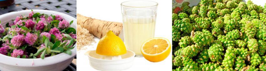 Tradiční metody pro zlepšení funkce mozku